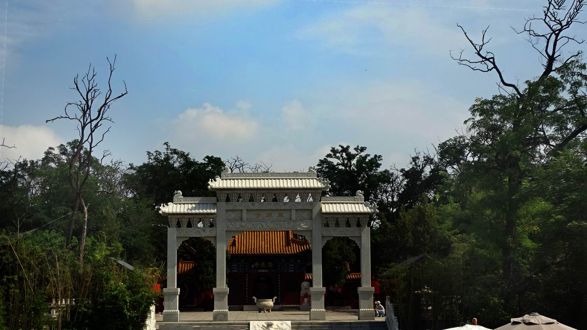 调整大小 DSC08688.JPG
