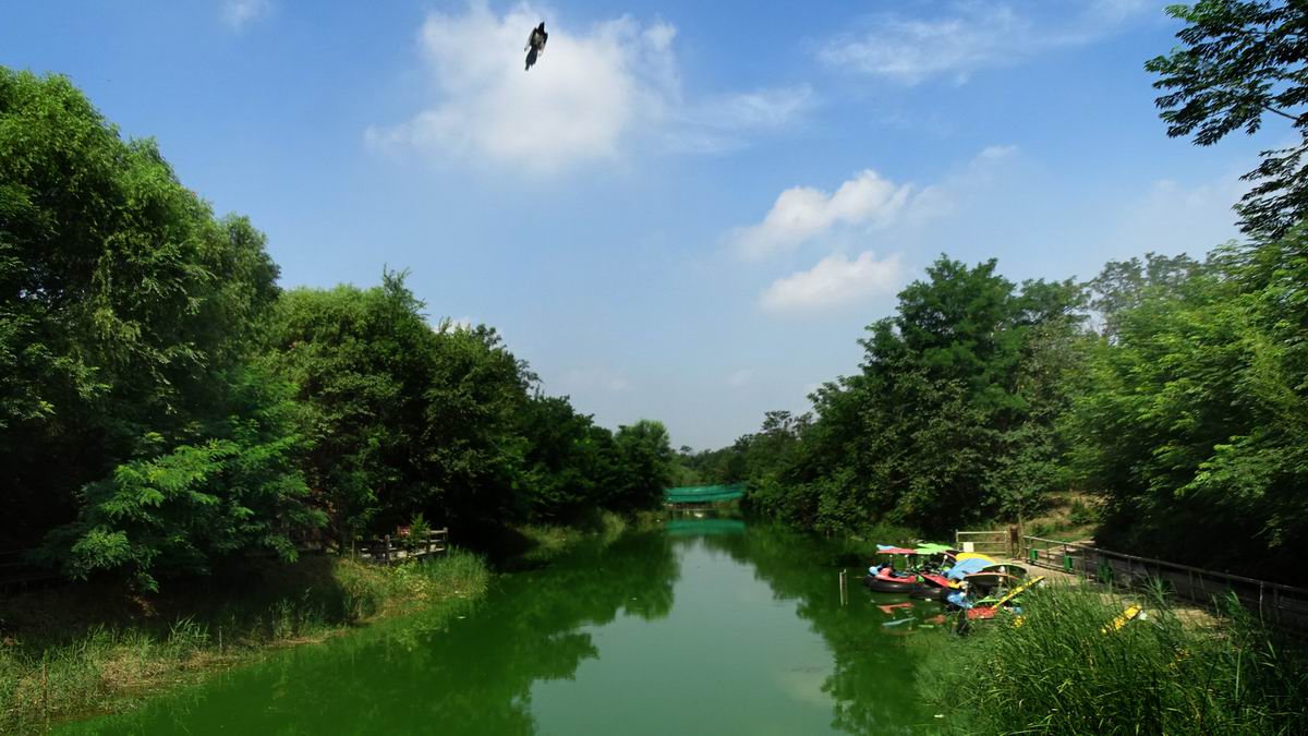 调整大小 DSC08691.JPG