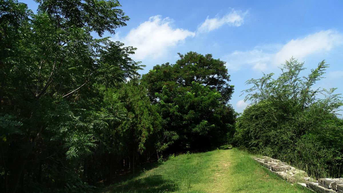 调整大小 DSC08696.JPG