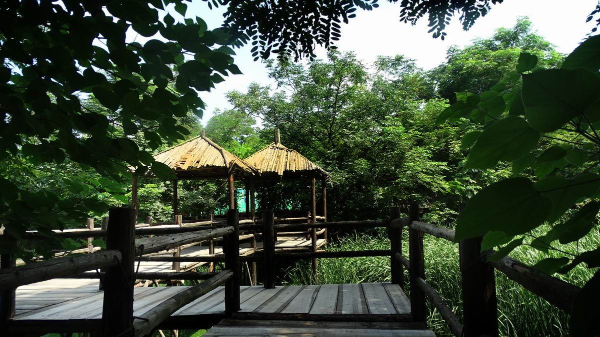 调整大小 DSC08692.JPG