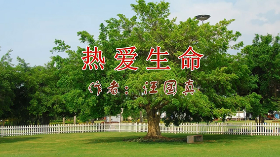 热爱生命1.jpg