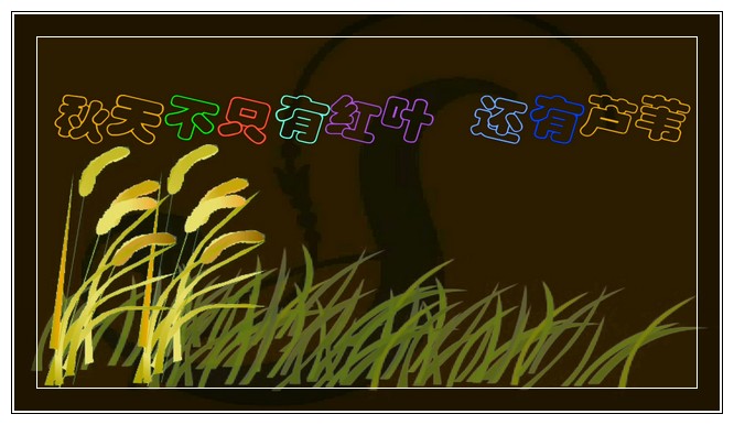 秋天不只有红叶还有芦苇