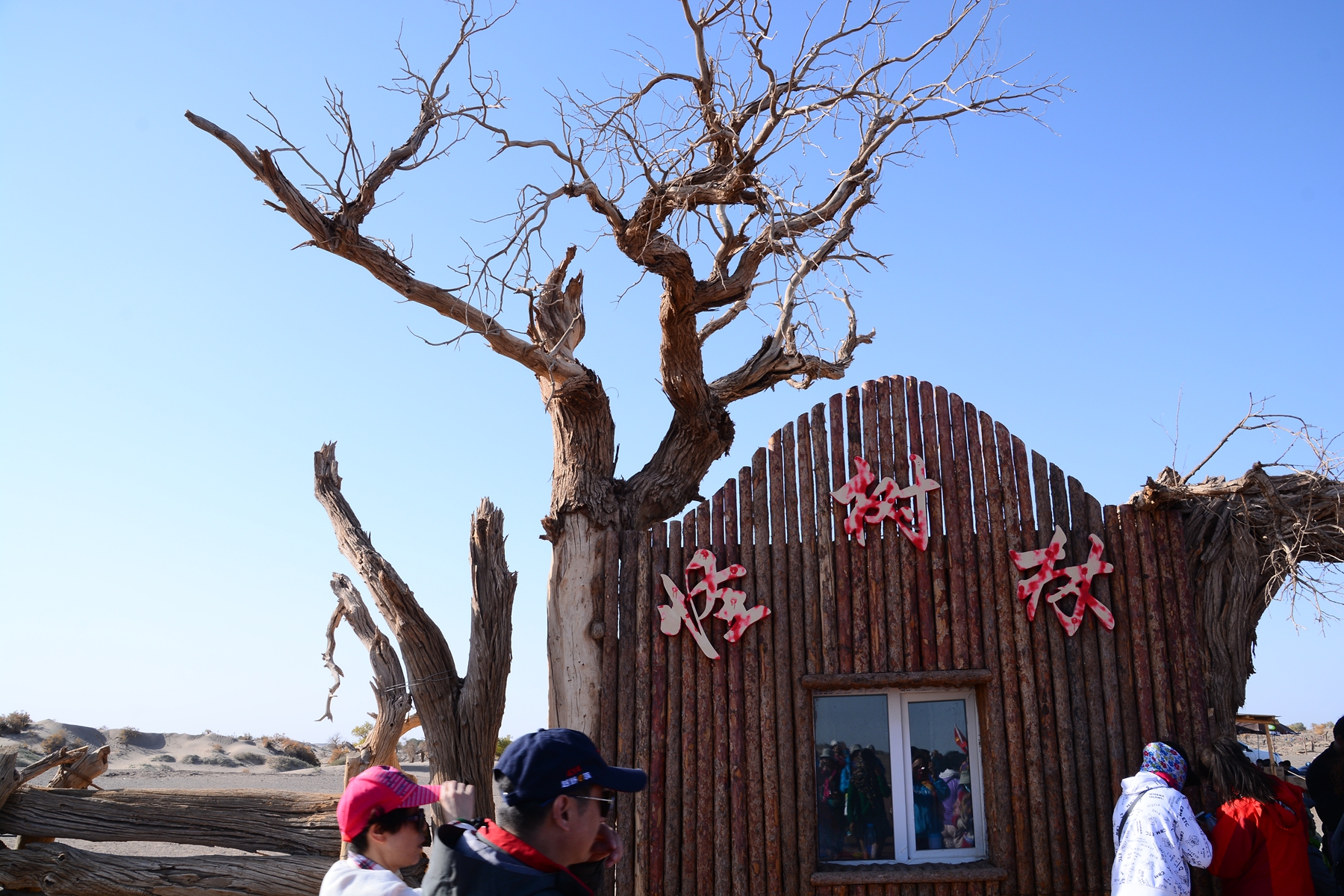 DSC_0887.jpg