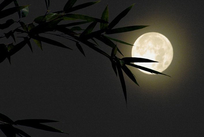 碧海青天夜夜心