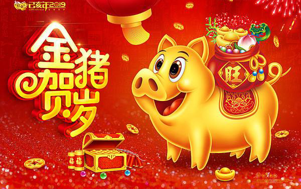 2019金猪贺岁.jpg