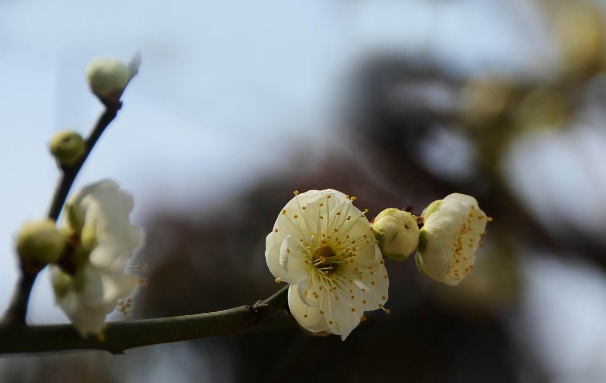 调整大小 DSC_1933.JPG