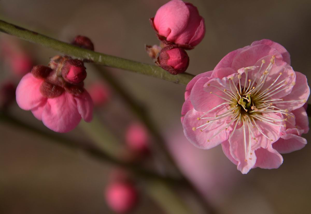调整大小 DSC_1928.JPG