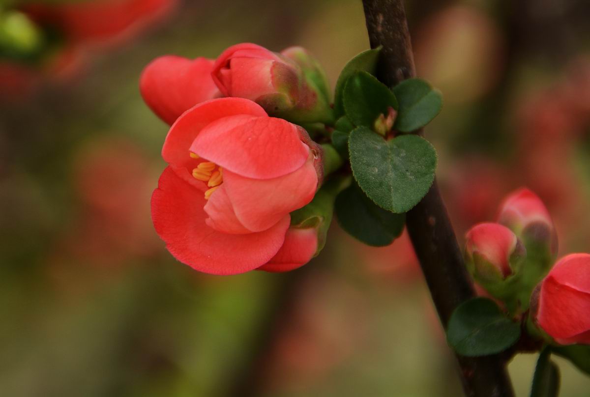 调整大小 DSC_2061副本.jpg