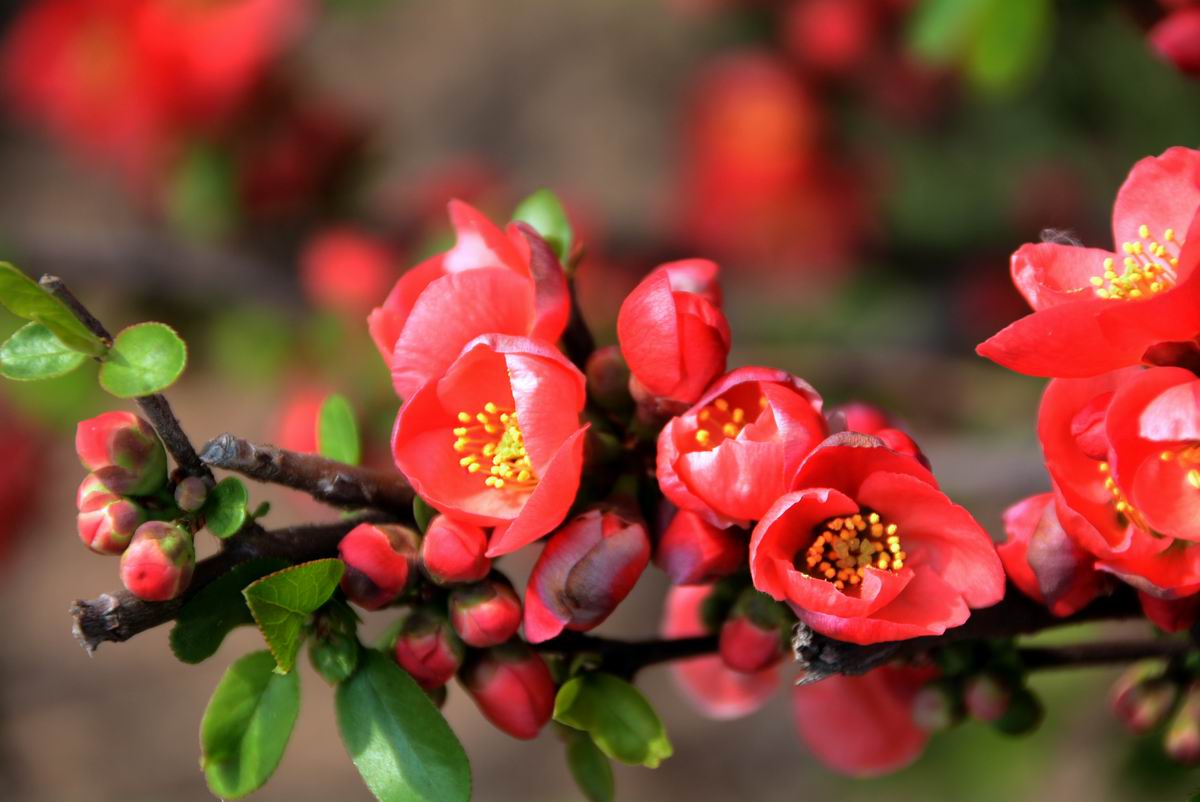 调整大小 DSC_2079.JPG