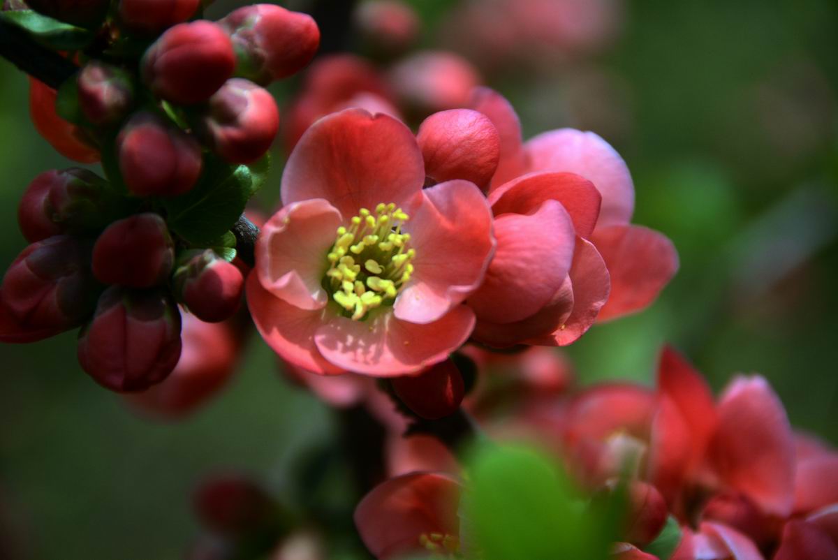 调整大小 DSC_2101.JPG