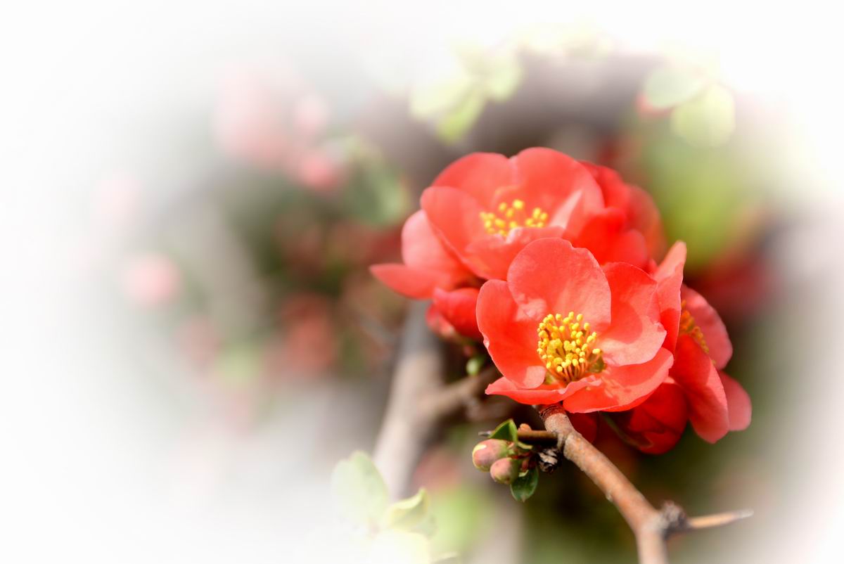 调整大小 DSC_2080.JPG