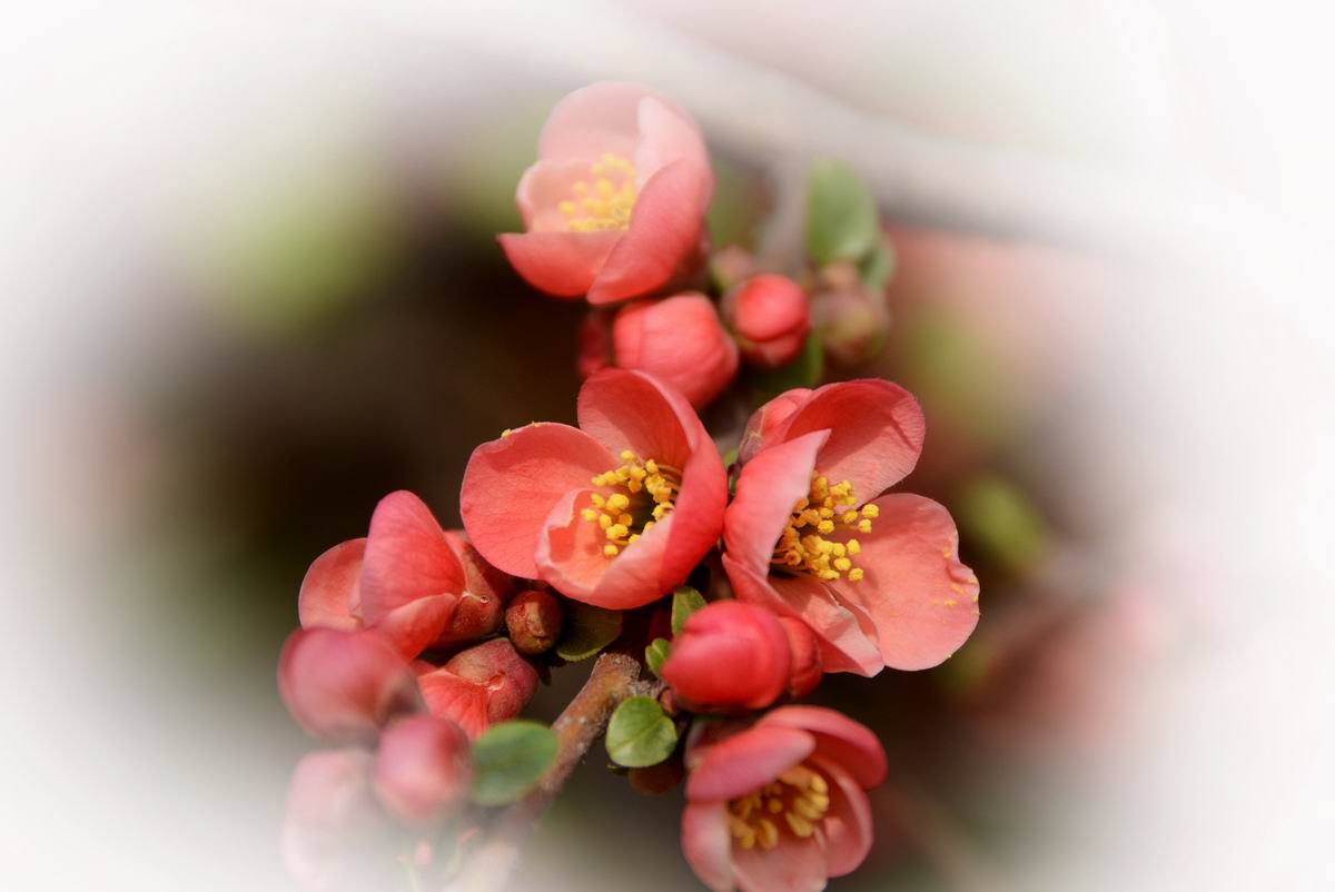 调整大小 DSC_2085.JPG