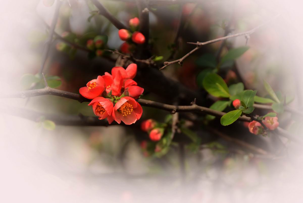 调整大小 DSC_2087.JPG