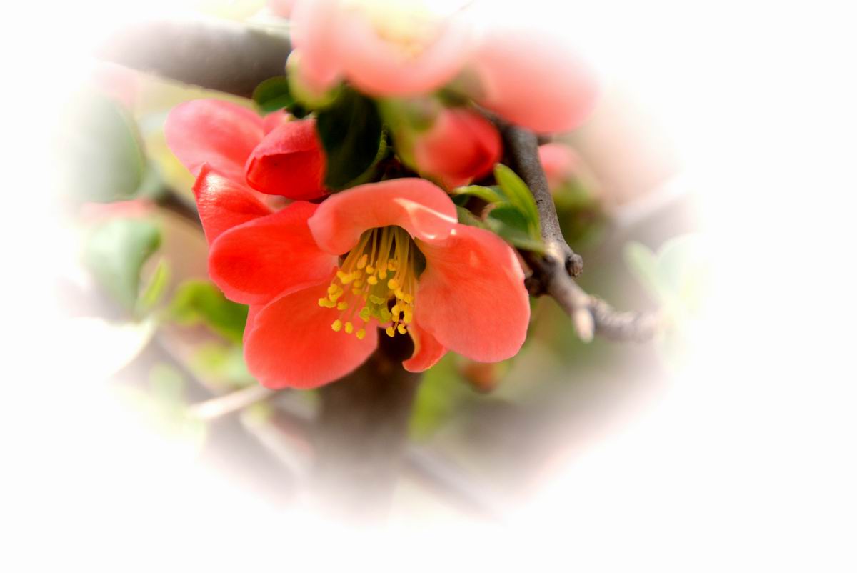 调整大小 DSC_2098.JPG