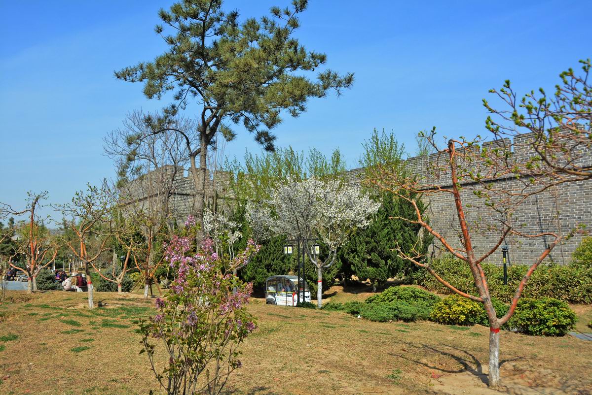 调整大小 DSC_2249.JPG