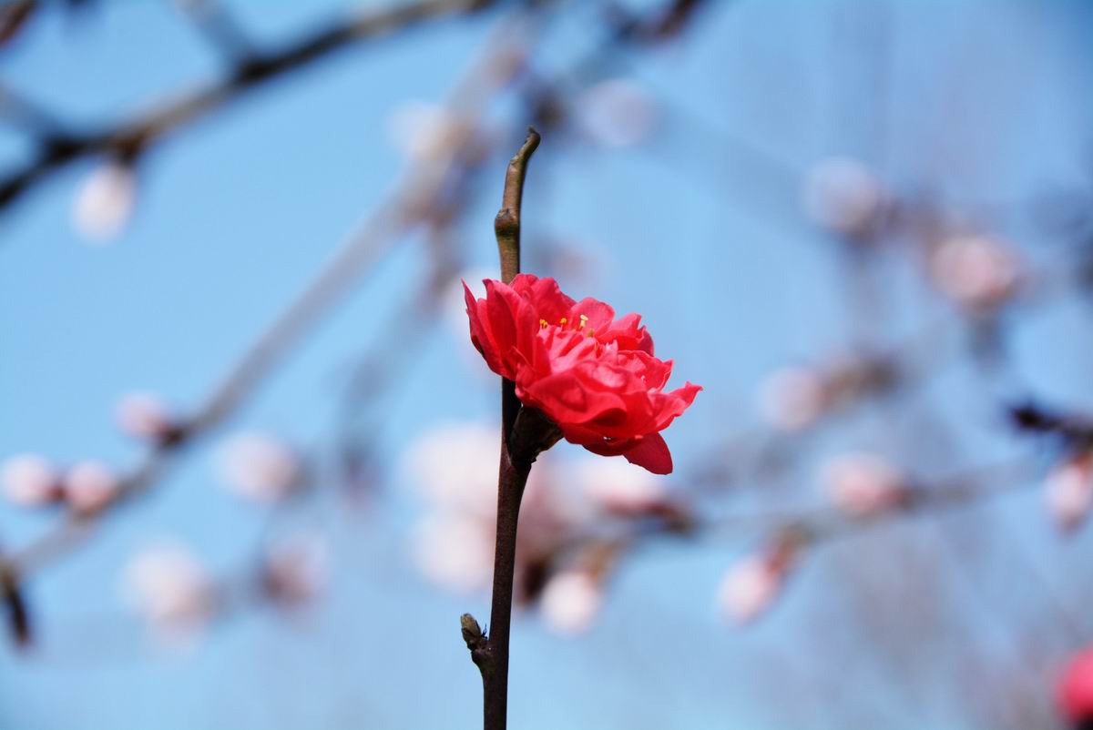 调整大小 DSC_2291.JPG