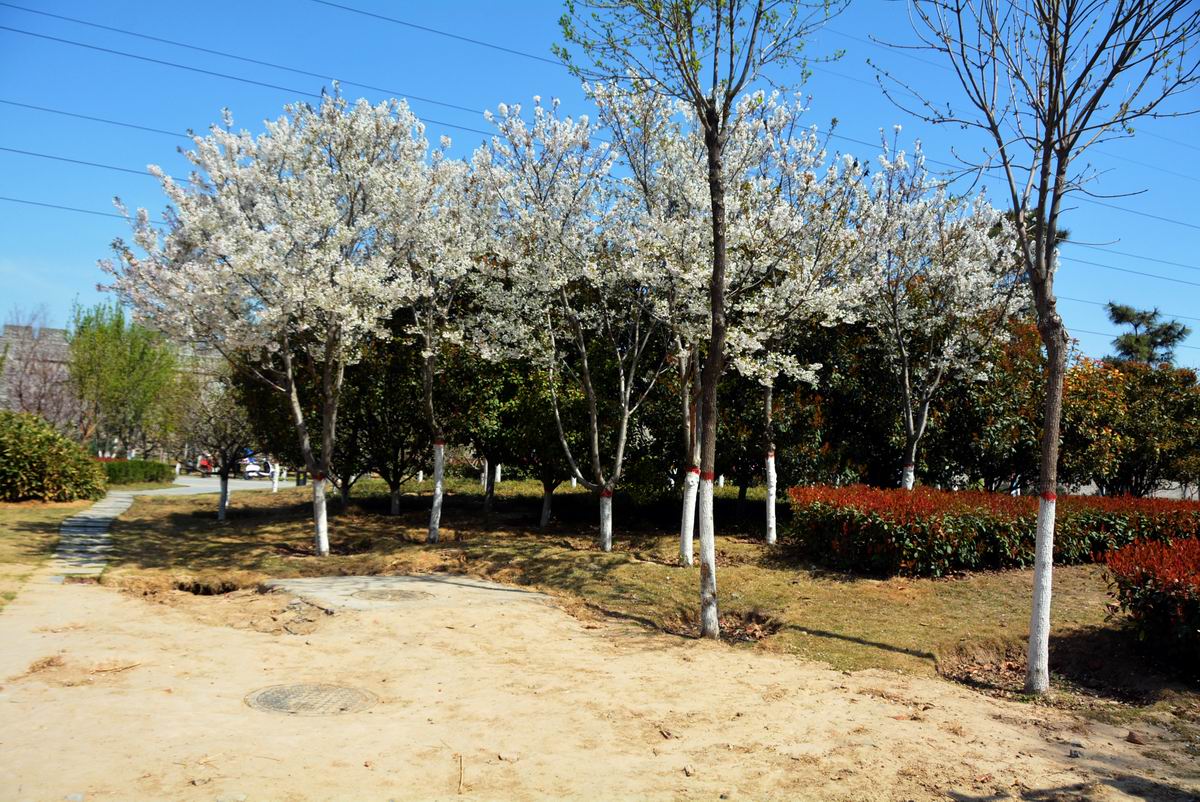 调整大小 DSC_2318.JPG