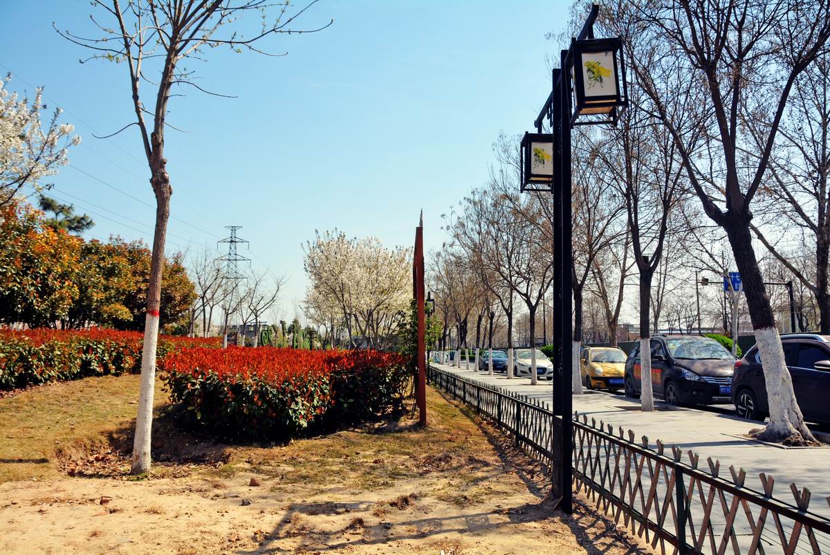 调整大小 DSC_2324.JPG