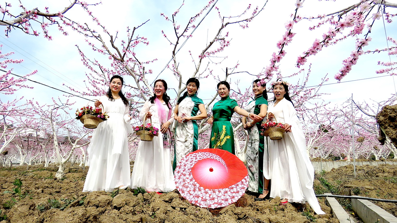踏青赏花美人多.jpg
