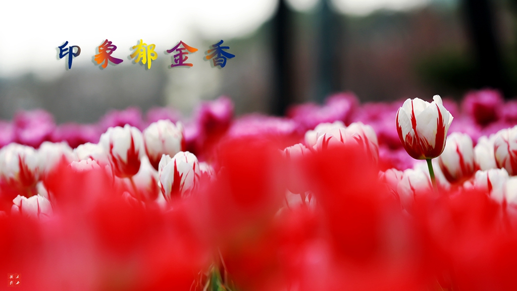 1F5A8249副本2.jpg