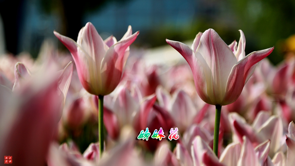 1F5A8715副本.jpg