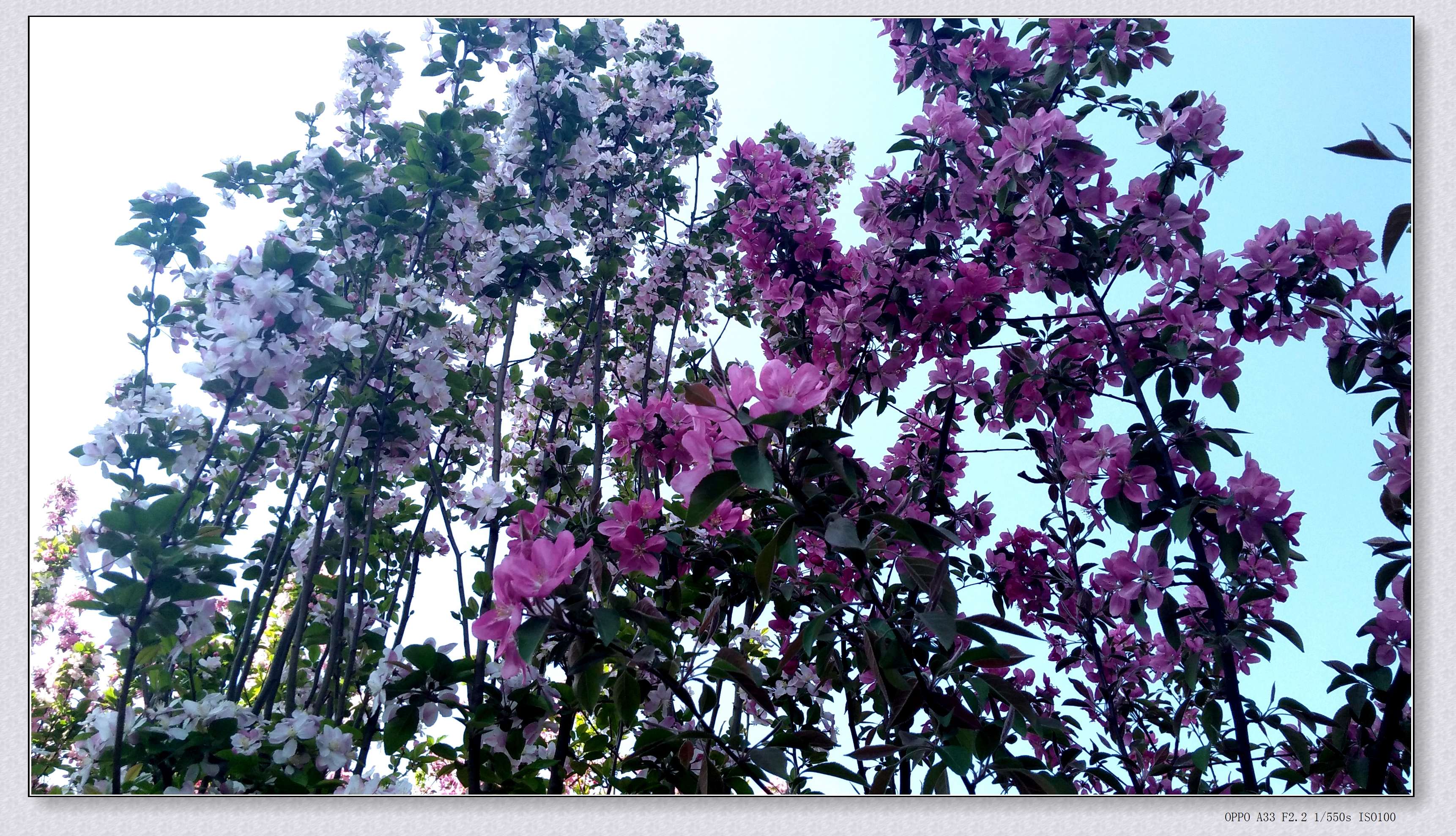 IMG20190415100003.jpg