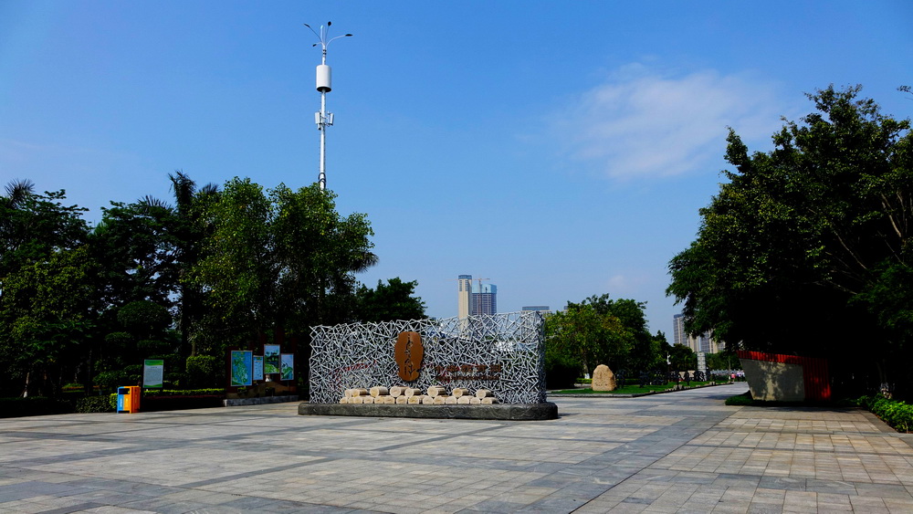 DSC00550.jpg