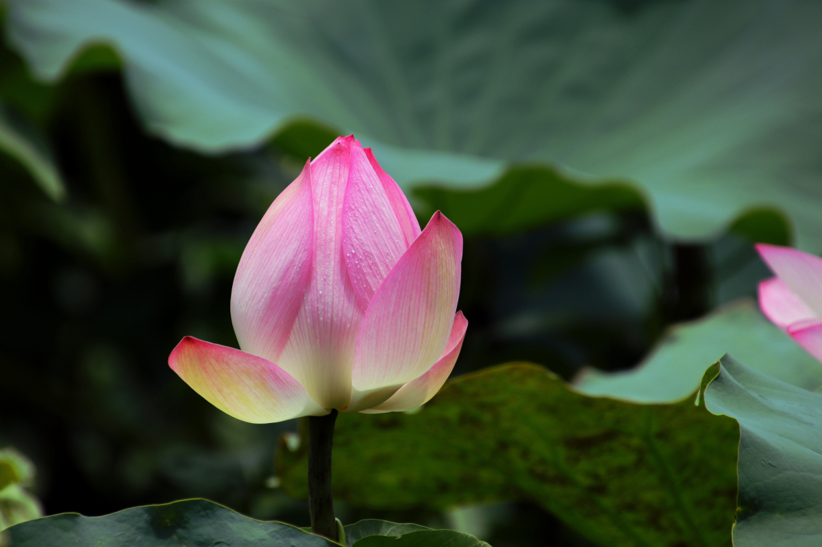 IMG_3263_编辑.jpg
