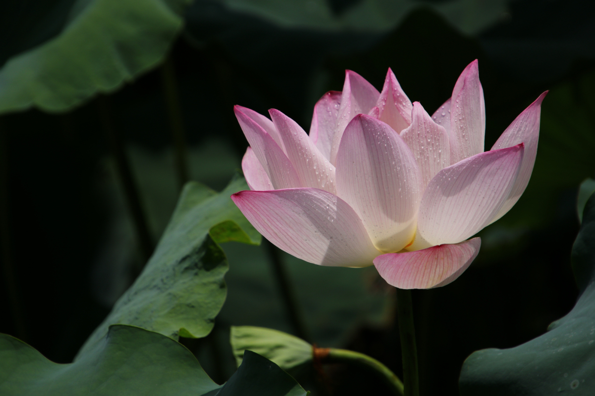 IMG_3271_编辑.jpg