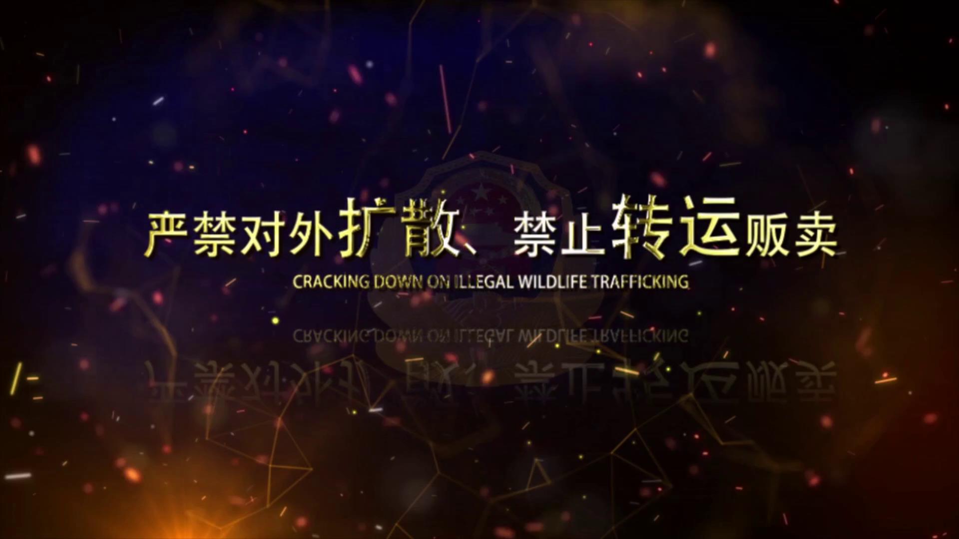 未命名[00-00-19][20200216-182806453].jpg