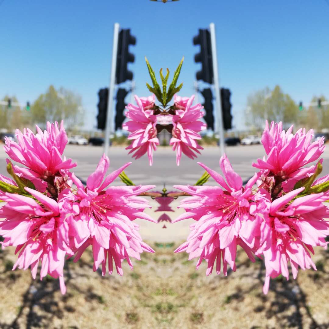 20200412195041.jpg