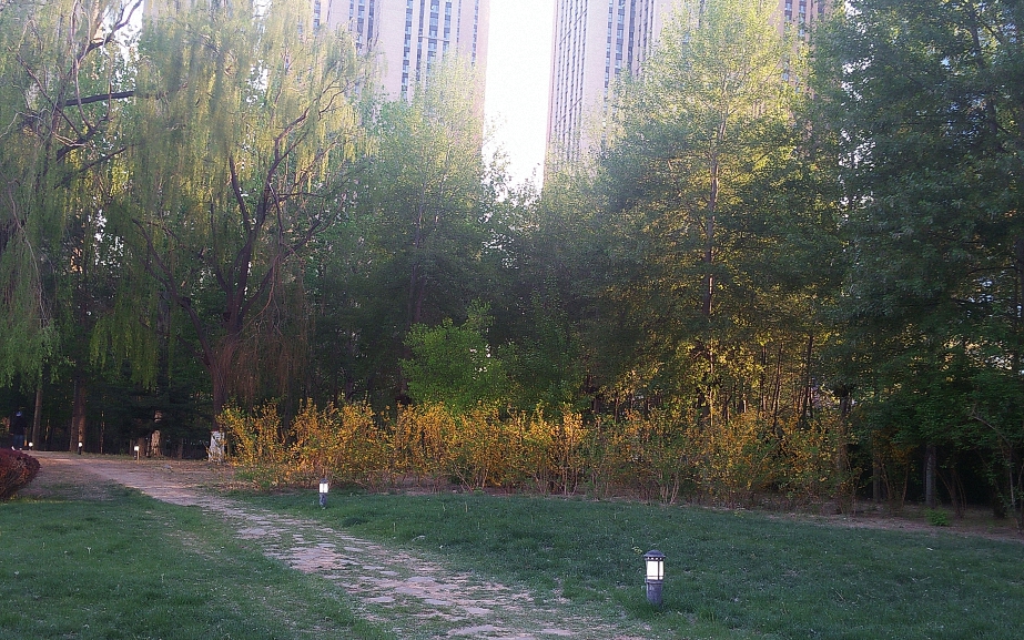 IMG20200425182232 (已调整大小).jpg