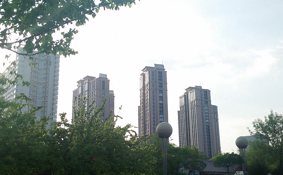 IMG20200502175123 (已调整大小).jpg