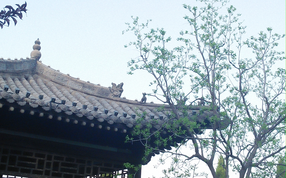 IMG20200502175827 (已调整大小).jpg