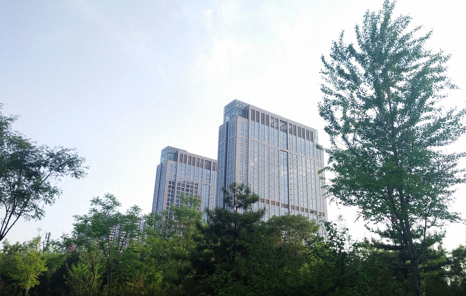 IMG20200502175934 (已调整大小).jpg