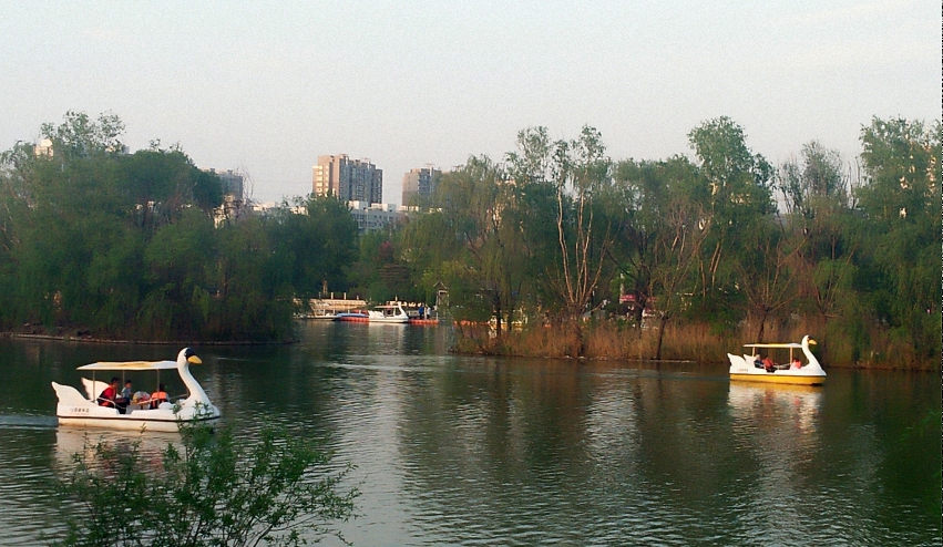 IMG20200502184532 (已调整大小).jpg