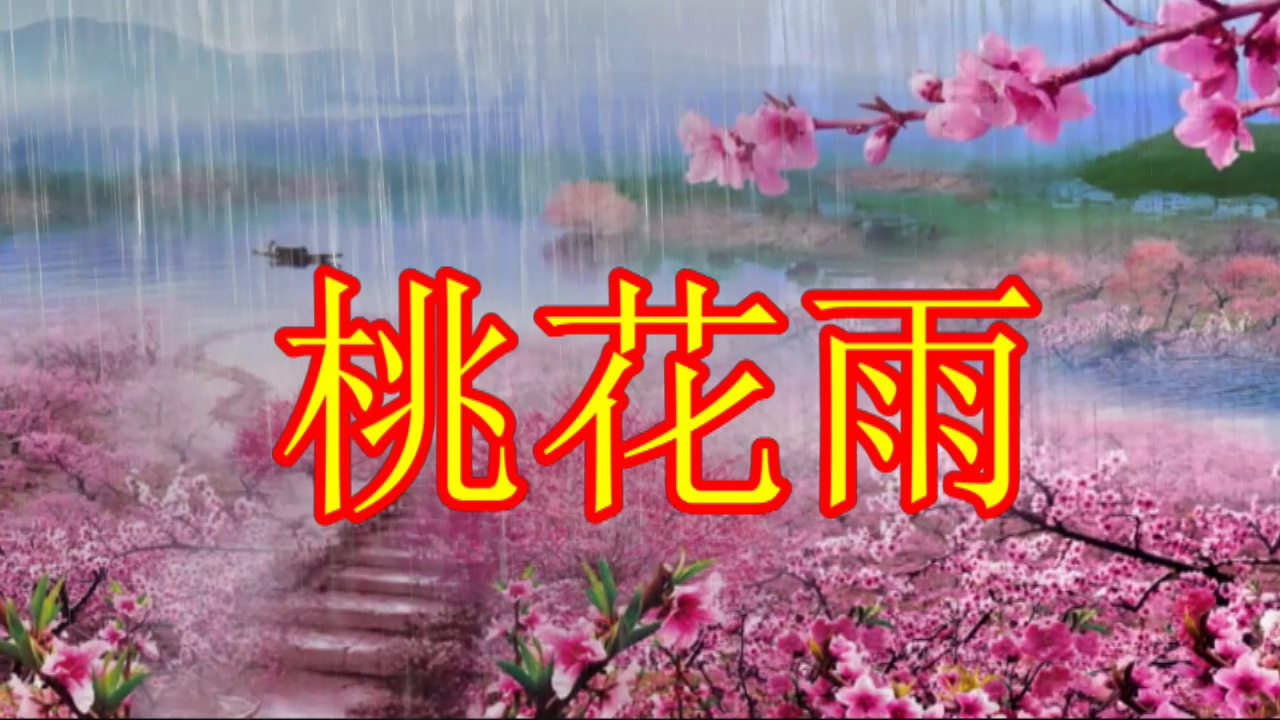 照片视频相册-桃花雨