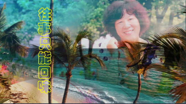 往事只能回味（部分仿AE）