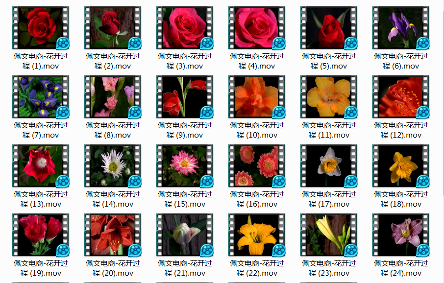 图片1.png
