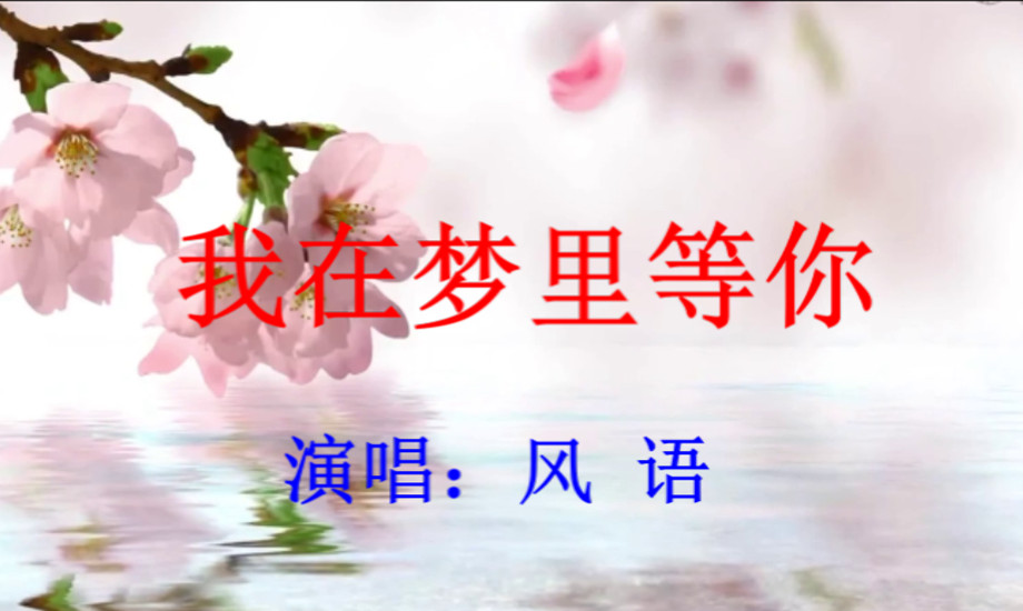 照片视频相册一我在梦里等你