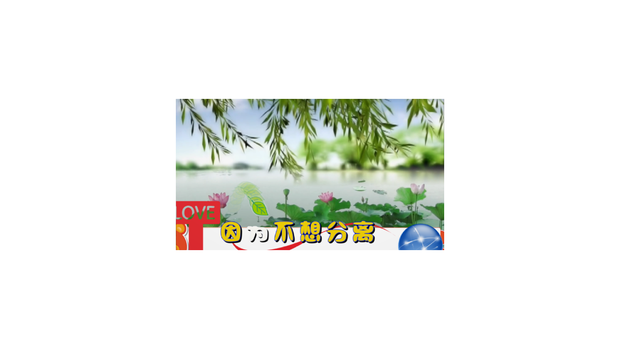 展示.png