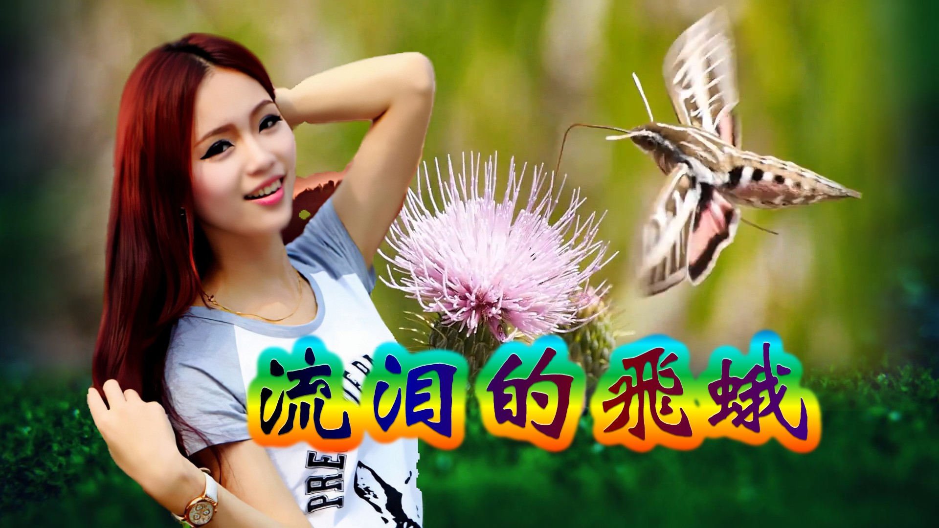 《流泪的飞蛾》