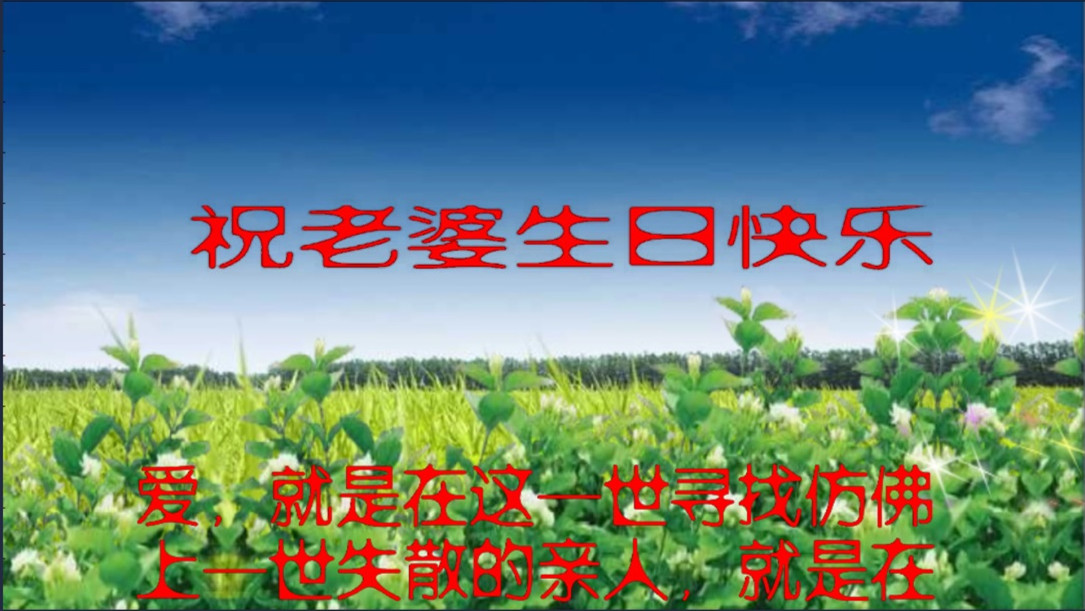祝老婆生日快乐