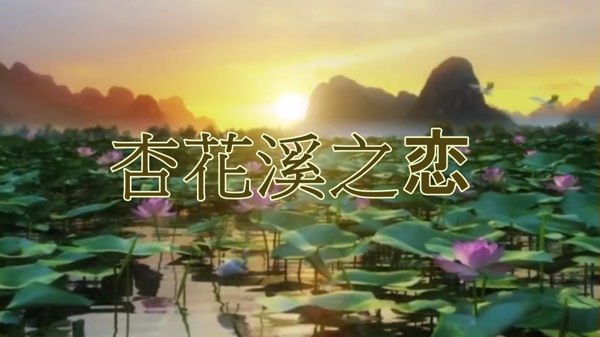 照片视频相册-杏花溪之恋