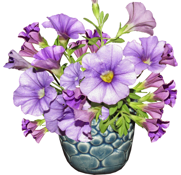 精美鲜花抠图之六鲜花花篮花盆花瓶（74款）