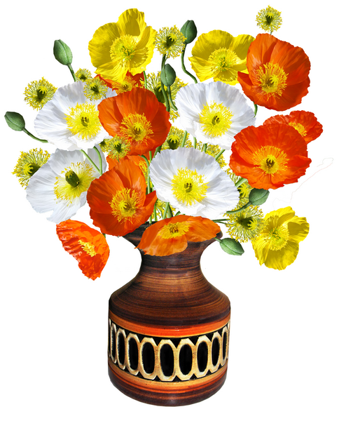 poppies-2915833_1920_调整大小.png