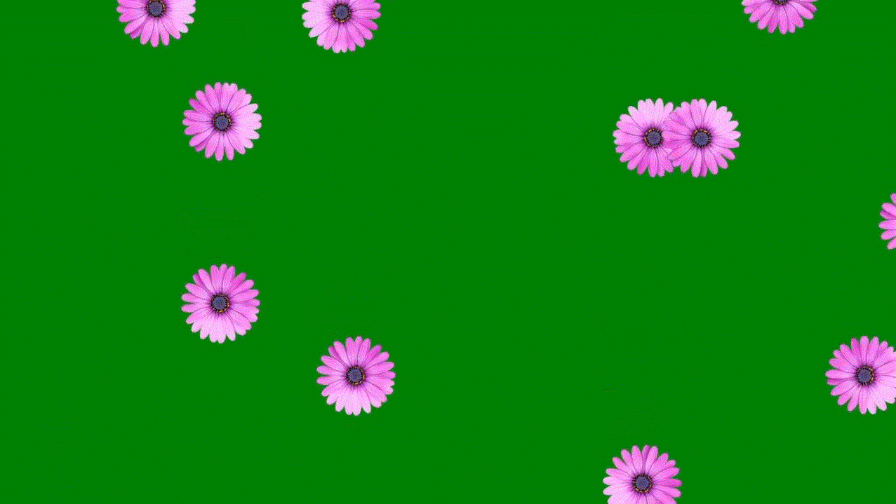 C1.GIF