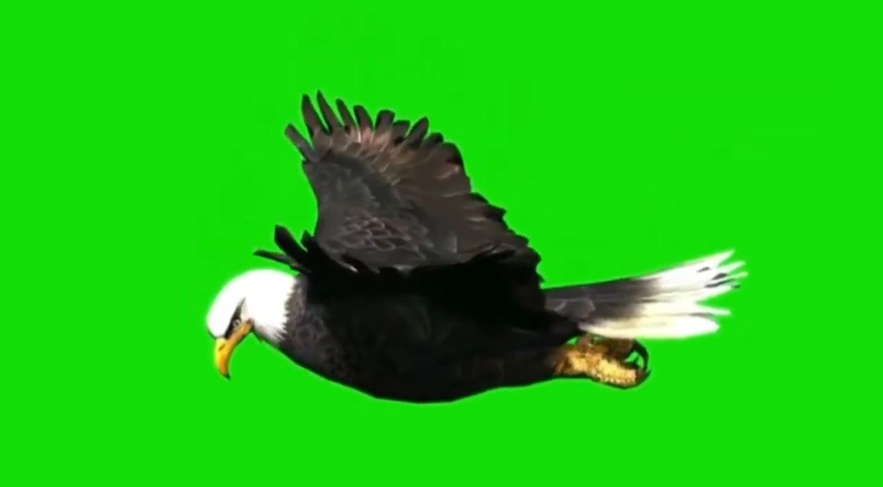 6.JPG