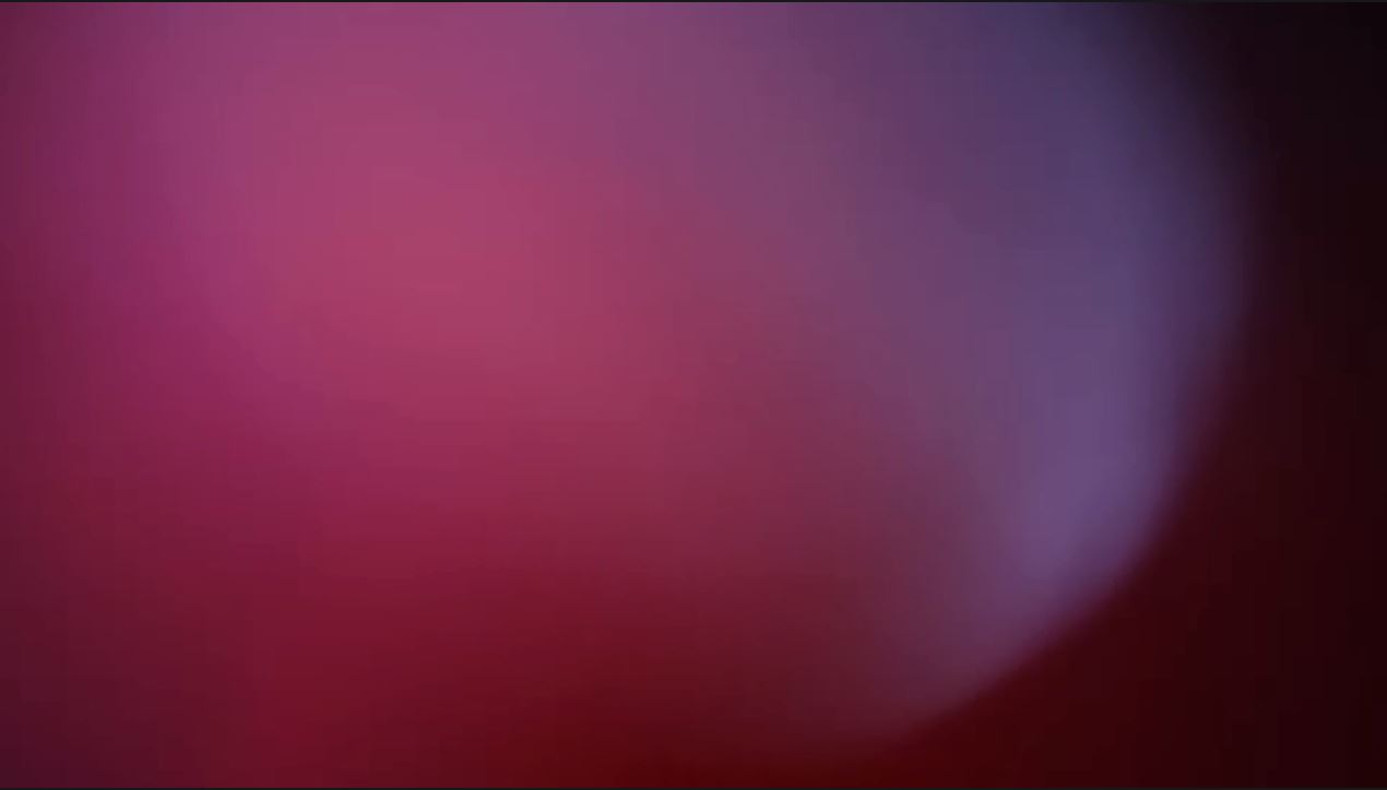 6.JPG