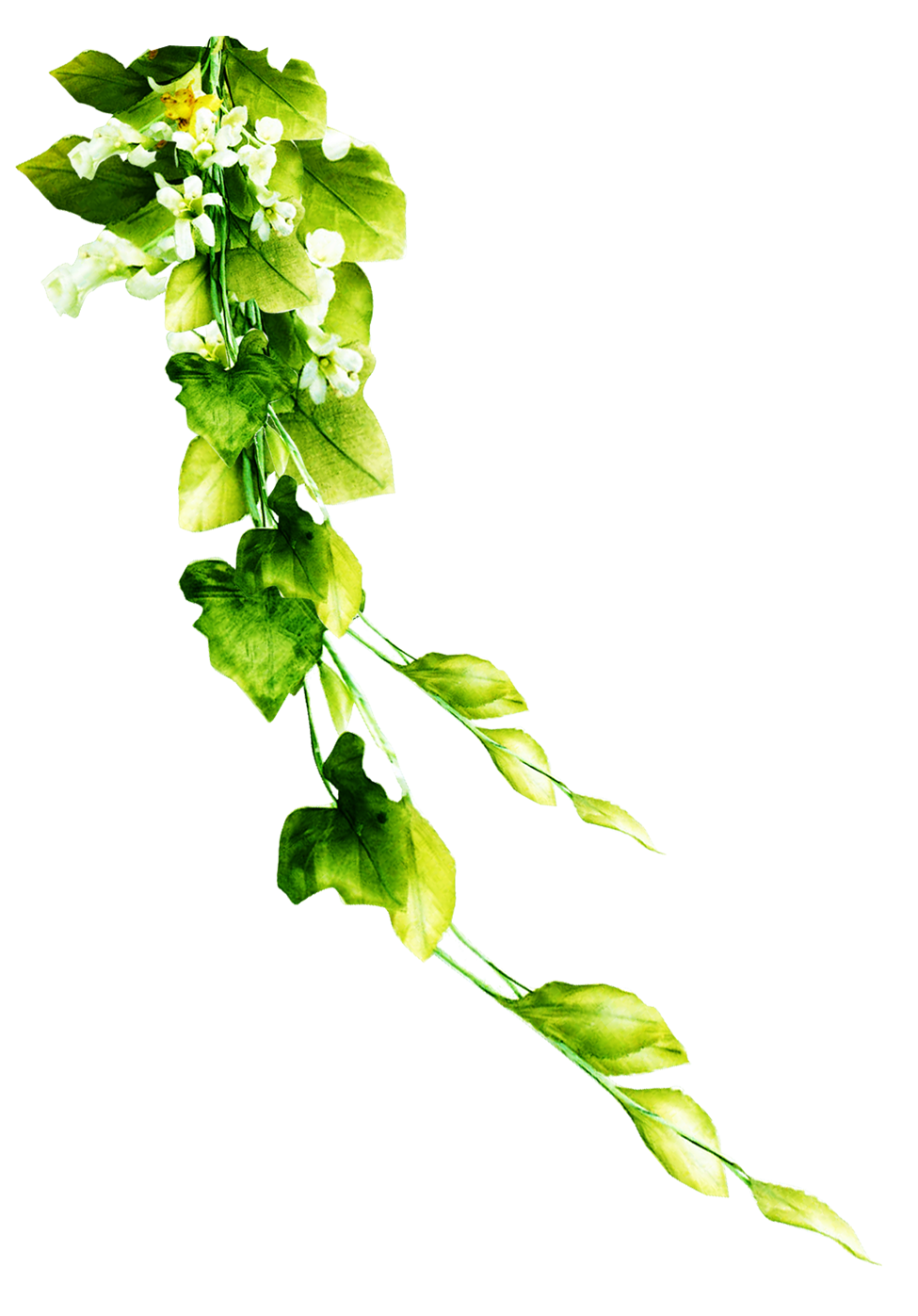 6 (108).png
